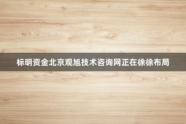 标明资金北京观旭技术咨询网正在徐徐布局